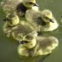 @ElaineGarcia-uo8qj