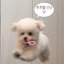 @정가은-d3e