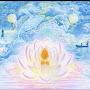 @XSO-peace-777