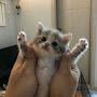 @두두-h4t