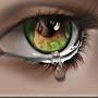 @akramrasool1667