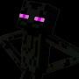 @mr.endermen202