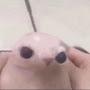 @seht674