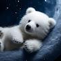 @MoonBearLover