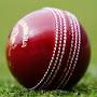 @wayacricket1071