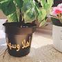 @كريكتبالعربي