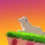 @auroraanimation