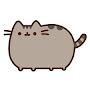 Pusheen love