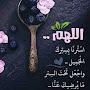 @fatimazahra-fj7zn