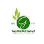 gaharwar pharma