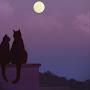 @Your_moonlight-069