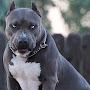 @михаилрышкитор-з9д