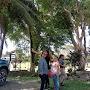 @adelaidaamparo9226