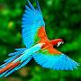 @AnimalWorld-le8yn