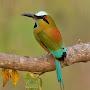 @Bird.lovers.