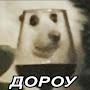 @BoberKurwa42