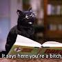 @meowstarperson5419