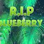 @Rip_blueberry