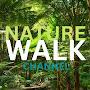 NATURE WALK CHANNEL