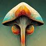 @psilocybin-