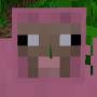 @SiIverYT