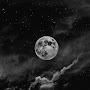 @maral7593