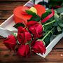 @farangiz2983