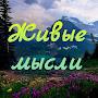 @Mnenie_Artura