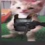 @user-Kekes