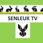 @SENLEUK