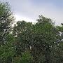 @rahmanbihar8979