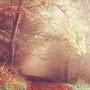@NareshKumar-bd4re
