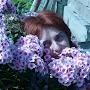 @галинасекова-ы3я