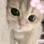 @chicken_1nugget