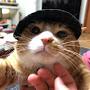 @user-qh3zj4yv2v