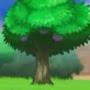 @treeingame