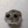 @BrothaHampster