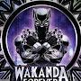 @TheFreshPrinceofWakanda