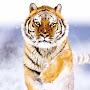 @amyr4ickchannel814