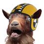 @crashtestgoat