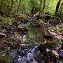 @purenature5568