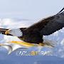 @eaglebittradeeaglebittrade3301