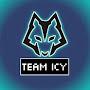 @team-icy-9511