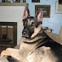 @gsdlover257