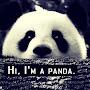Hi. I'm a PANDA.