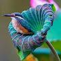 @linas5833