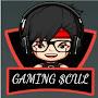 @gamingsoul6421