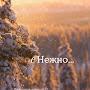 @Томми_Версетти-р1ч