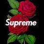 @JoseHernandez-xd2nq