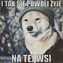 @ashjghutihgvfnmld